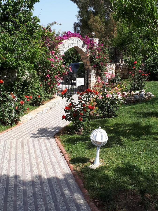 Olympos Hotel - Adults Only Ovacık Rum bild